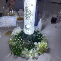 グラティと鏡でかさ増し