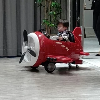 ラジコン飛行機も入れる大きなドア