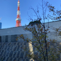 ホテルのあらゆるところから東京タワー