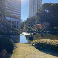 日本庭園。散歩可能です。