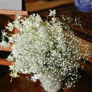 入口の土間。一つ一つ意味のあるお花を考えてくださります。