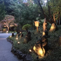 ライトアップが素敵