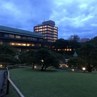綺麗