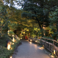 広い庭です