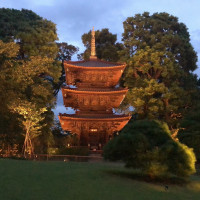 椿山荘で有名な寺
