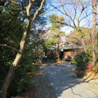 とても雰囲気の良い庭園です