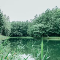 湖