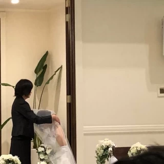ベールダウン