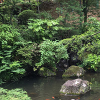 富士屋ホテル内の中庭の池