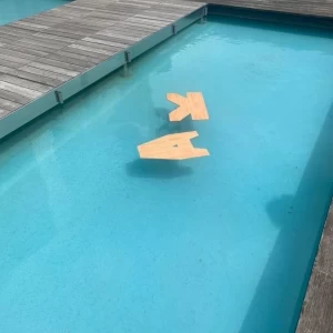 ガーデンの小プール|597014さんのシーサイドヴィラ マウロアネーラの写真(1613270)