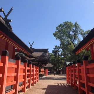 朱色と青空が映えるので、前撮りで人気のスポットらしい
