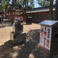 なでうさぎ