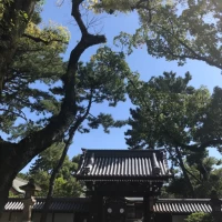 神館の門の外。普段は閉まっているそう。