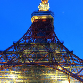 日が落ちるとライトアップされた東京タワーが見えます