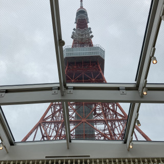 曇りでも綺麗に東京タワーが見えました。