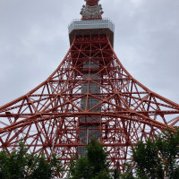 東京タワーが見えます。