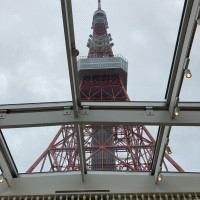 曇りでも綺麗に東京タワーが見えました。