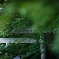 鳥居
