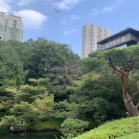 夏だったこともあり、緑が大変綺麗でした