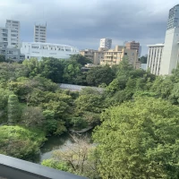 披露宴会場2:窓から見える庭園