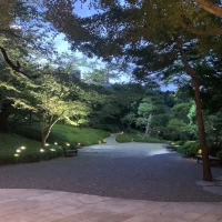 お庭の開けたところ。紅葉もきれいだそう。
