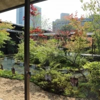 ロビーから見える庭園。四季折々楽しめます。