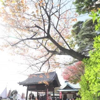挙式会場全体