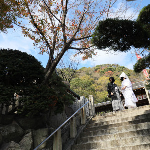 本殿へ続く階段|598243さんの北野天満神社 北野祝言の写真(1687810)