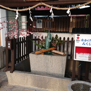 手水舎|598243さんの北野天満神社 北野祝言の写真(1319462)