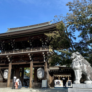 正門と大きな狛犬です。|598289さんの寒川神社の写真(1338501)