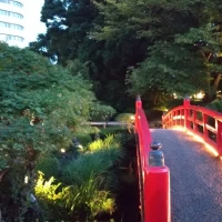 日本庭園です