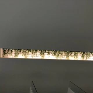 会場