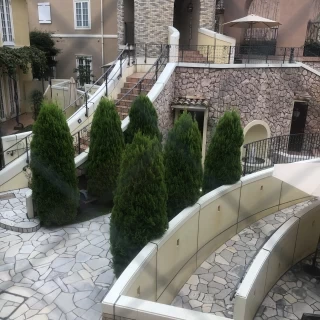 庭の雰囲気