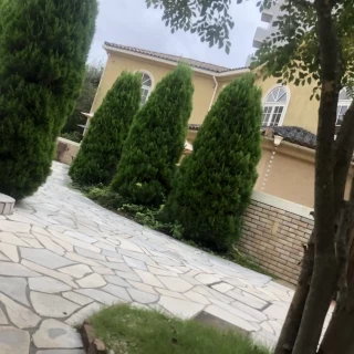 庭の雰囲気