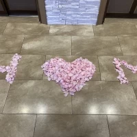 見学時のサプライズ演出