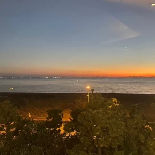 会場からの景色