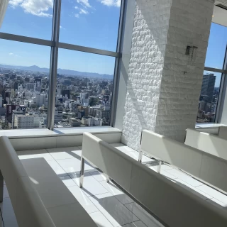 自然光も素敵