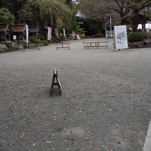 外|599471さんの出雲大社相模分祠（神奈川）の写真(1315077)