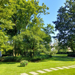 広くて緑あふれるお庭|599499さんのBrasserie et Salon de Thé Chez Yoshi（シェ・ヨシ）の写真(1316623)