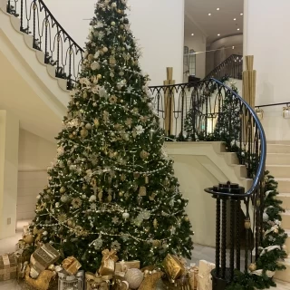 大きなクリスマスツリーが飾られていました。