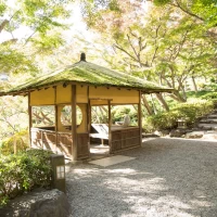 庭を歩くだけでも気持ち良いです。