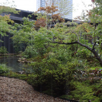 中庭(10月、雨)