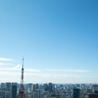 東京タワーが近い！現代の東京が一望できました