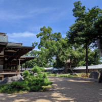 神館の庭園。樹齢1000年以上の楠が出迎えてくれます。