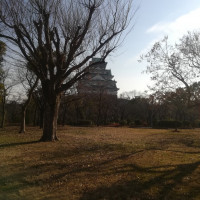 大阪城が近い