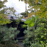 敷地内からでもこの近さでしっかり高台寺が見える。