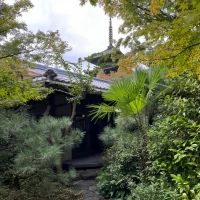 敷地内からでもこの近さでしっかり高台寺が見える。