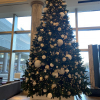 ホテルロビーにクリスマスシーズンには、大きなツリーがあります