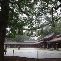 明治神宮　雨の際は屋根ありのところで参進とのこと