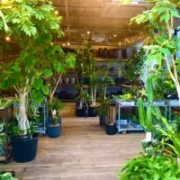 屋内挙式会場
